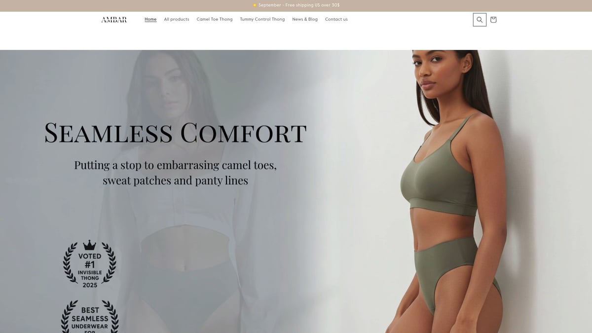 7 Best Invisible Panties for Seamless Comfort in 2025 - Ambar Wear Invisible Camel Toe Thong