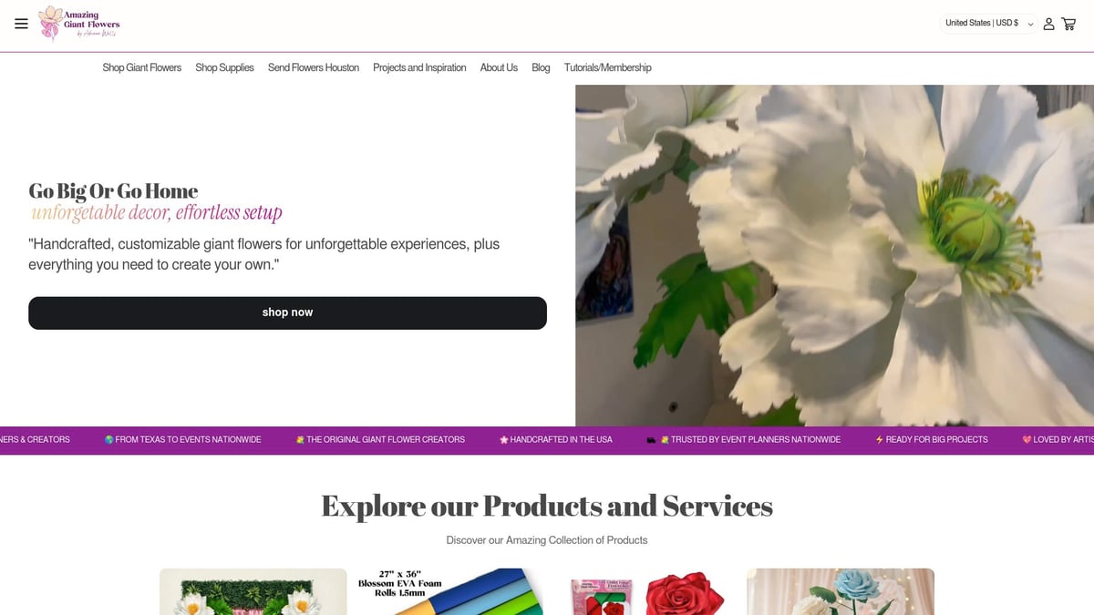 7 Amazing Event Companies Near Me to Elevate Your 2026 Events - Amazing Giant Flowers