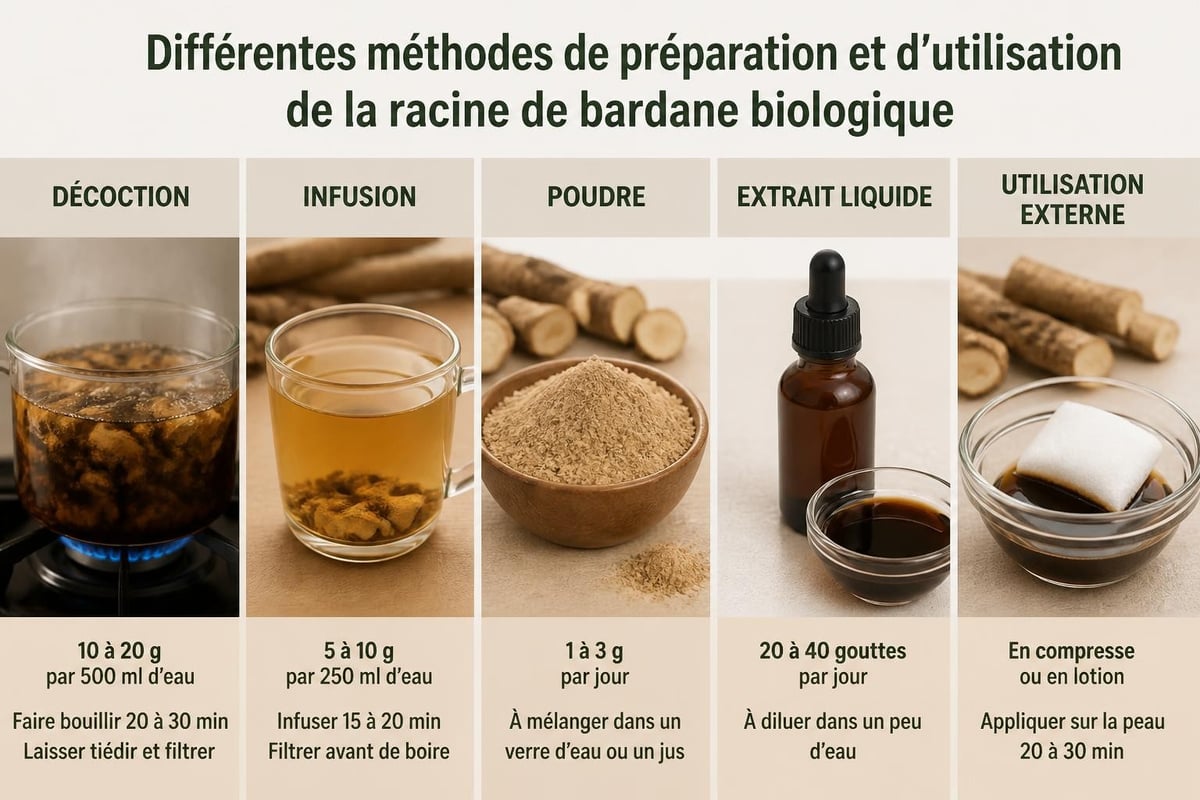 Préparations racine de bardane