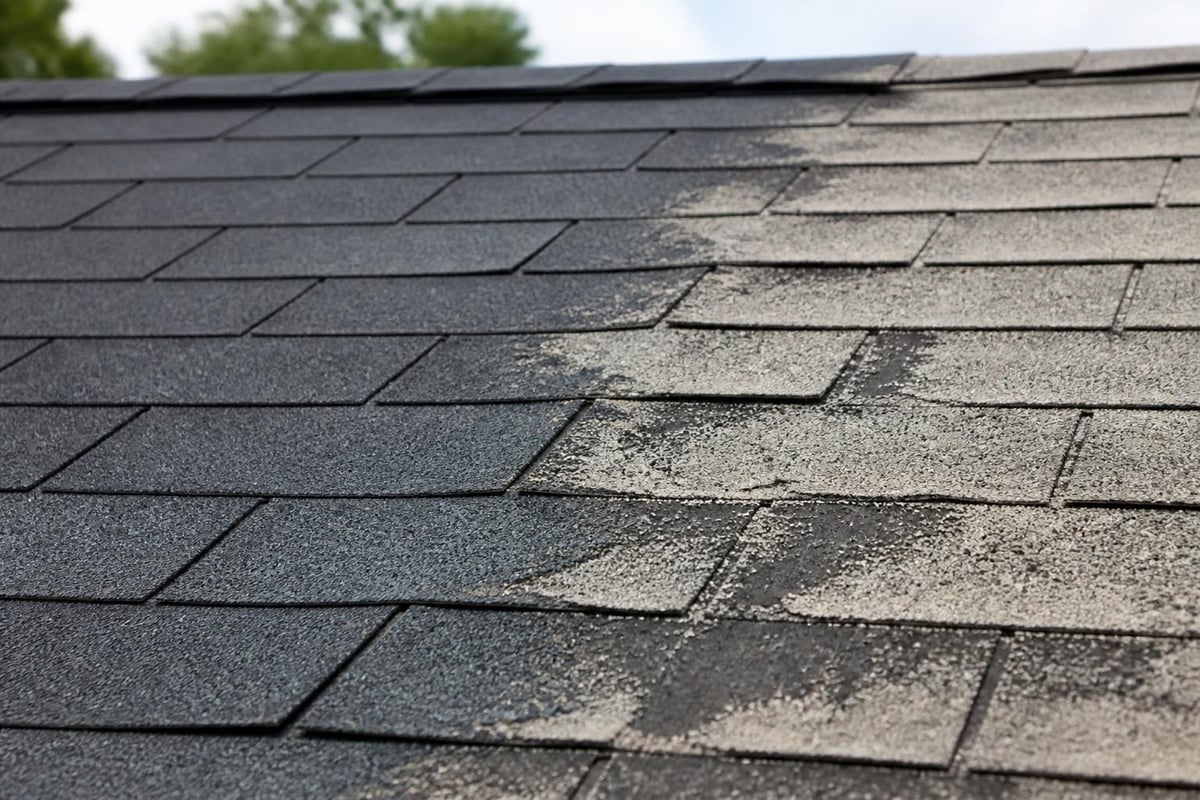Shingle granule loss