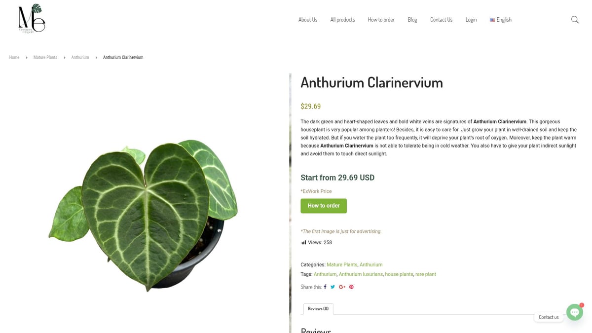 7 Anthurium Rare Varieties Collectors Are Obsessed With in 2025 - Anthurium Clarinervium