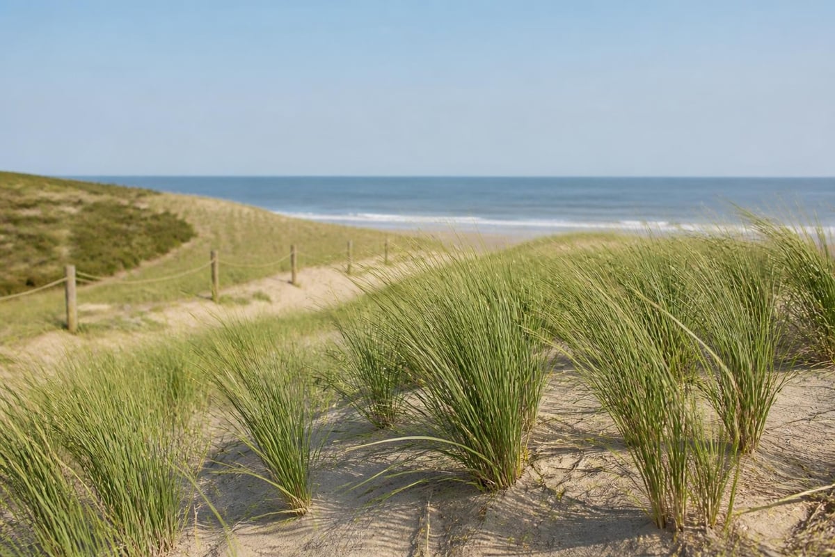 Ferry Beach State Park dune ecosystem