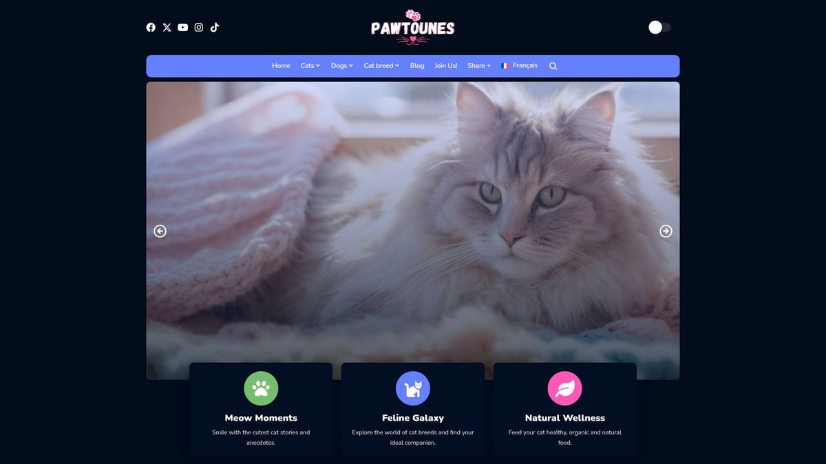 Pawtounes - Guide Complet Sur La Signification Du Chat En 2026 - Guide Complet Sur La Signification Du Chat En 2026 - Pawtounes : votre allié pour mieux comprendre et aimer votre chat