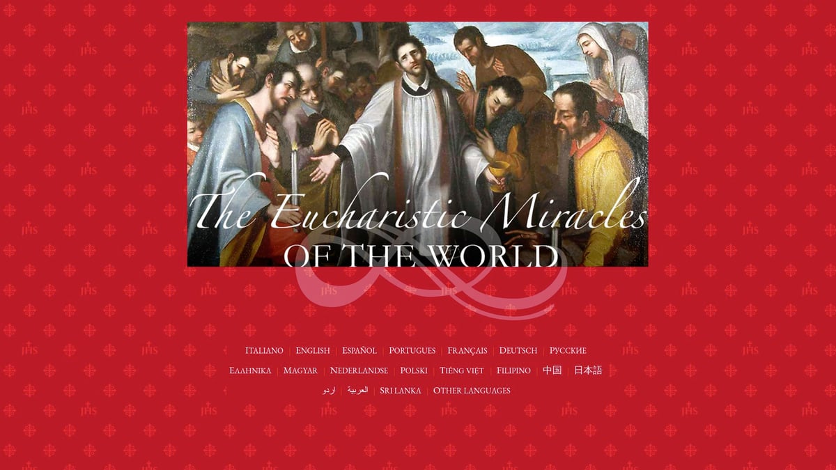 7 Essential Miracles of the Eucharist Book Picks for 2026 - The Eucharistic Miracles of the World: Catalogo by The Pontifical Academy Cultorum Martyrum and Carlo Acutis
