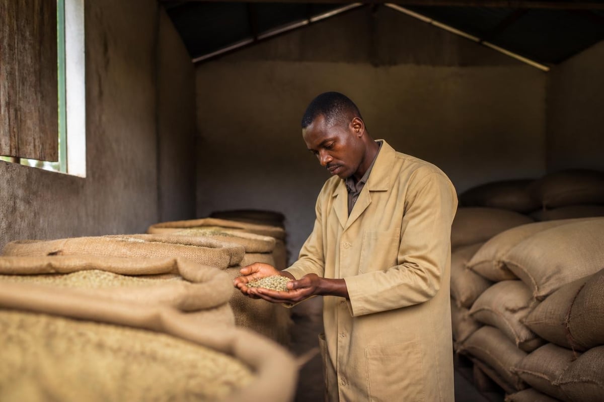 Climate storage strategies