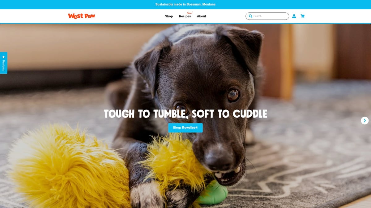 10 Unique Gifts For Dogs That Will Make Tails Wag In 2025 - West Paw Zogoflex Qwizl Treat Toy