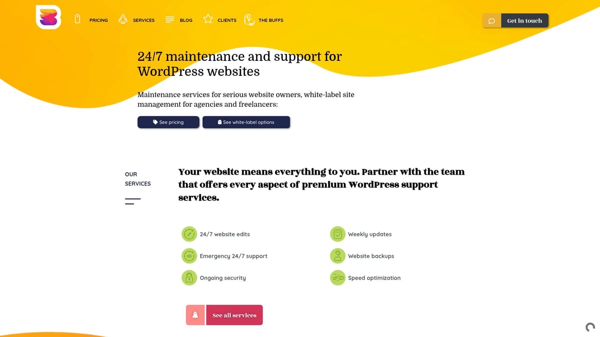 9 Essential WordPress Website Designers to Hire in 2025 - WP Buffs