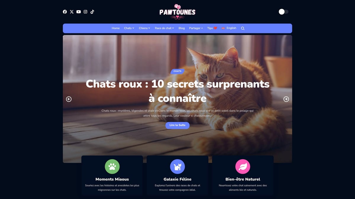 Guide Ultime Chien et Chat : Conseils pour une Harmonie 2025 - Pawtounes : Conseils et ressources pour une cohabitation réussie