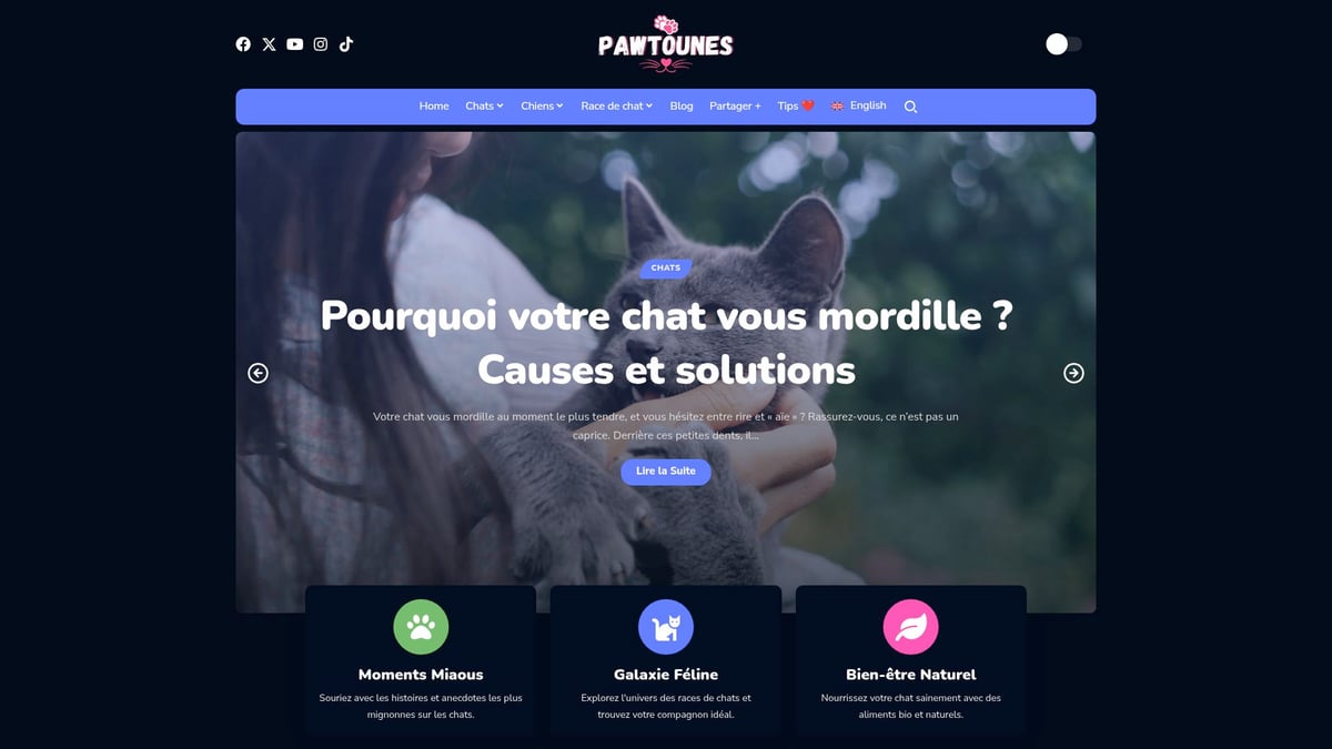 Pawtounes - Guide Complet sur les Poils Chats : Conseils et Astuces 2025 - Guide Complet sur les Poils Chats : Conseils et Astuces 2025 - Conseils, anecdotes et ressources pour passionnés de chats – Pawtounes