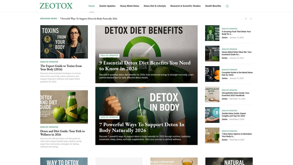 7 Essential Best Detox for Your Body Methods for 2026 - Zeolite-Based Heavy Metal Detoxification