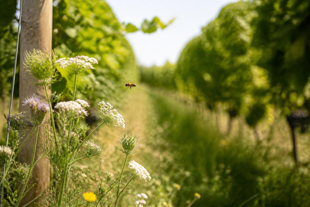 Organic pest management cycle
