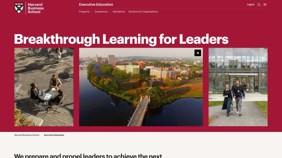 9 Essential Training Courses For Leadership Development In 2026 - Harvard Leadership Development Programme