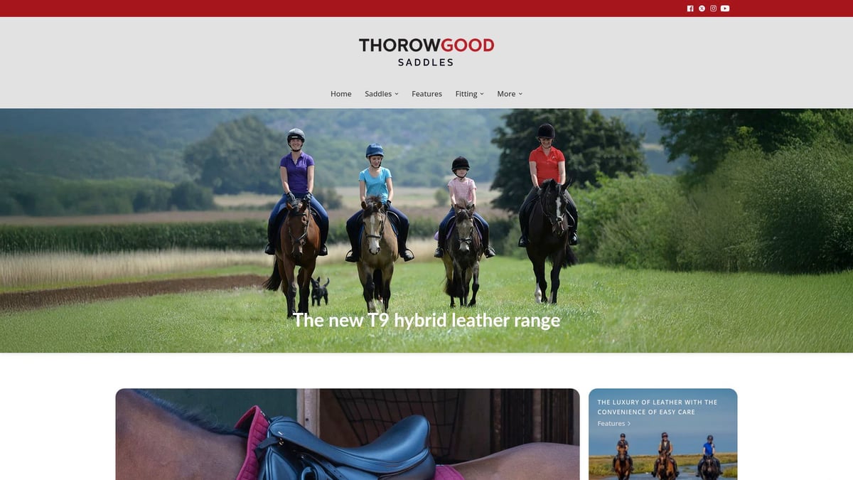 7 Essential Cheap Saddles for Sale You Need in 2025 - Thorowgood T4 GP Saddle