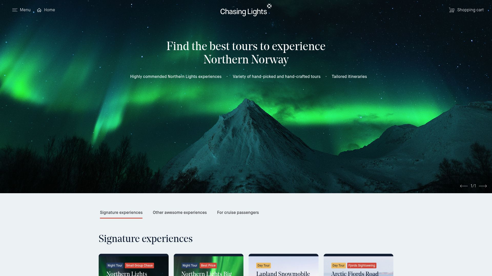 7 Best Northern Lights Trip Package Picks for 2025 Adventures - Chasing Lights: Northern Norway Small-Group Tour