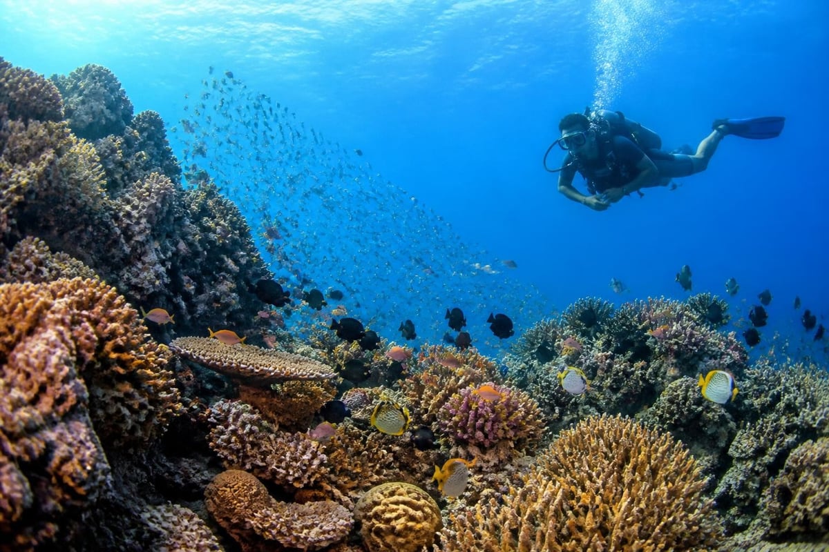 Marine sanctuary benefits