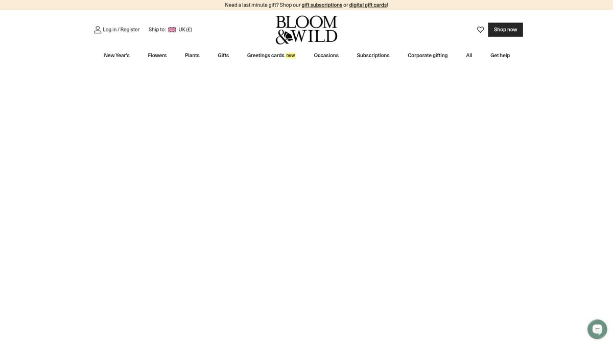 7 Amazing Flowers Sent Next Day Ideas for 2026 - Bloom & Wild: Letterbox flowers delivered next day