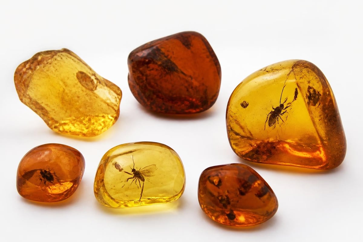 Amber quality factors