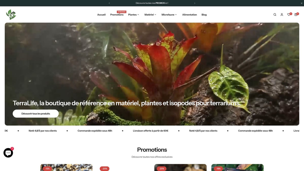 Guide Complet Sur Les Terrariums Plantes En 2026 - Pourquoi Choisir TerraLife pour Vos Plantes et Matériel de Terrarium ?