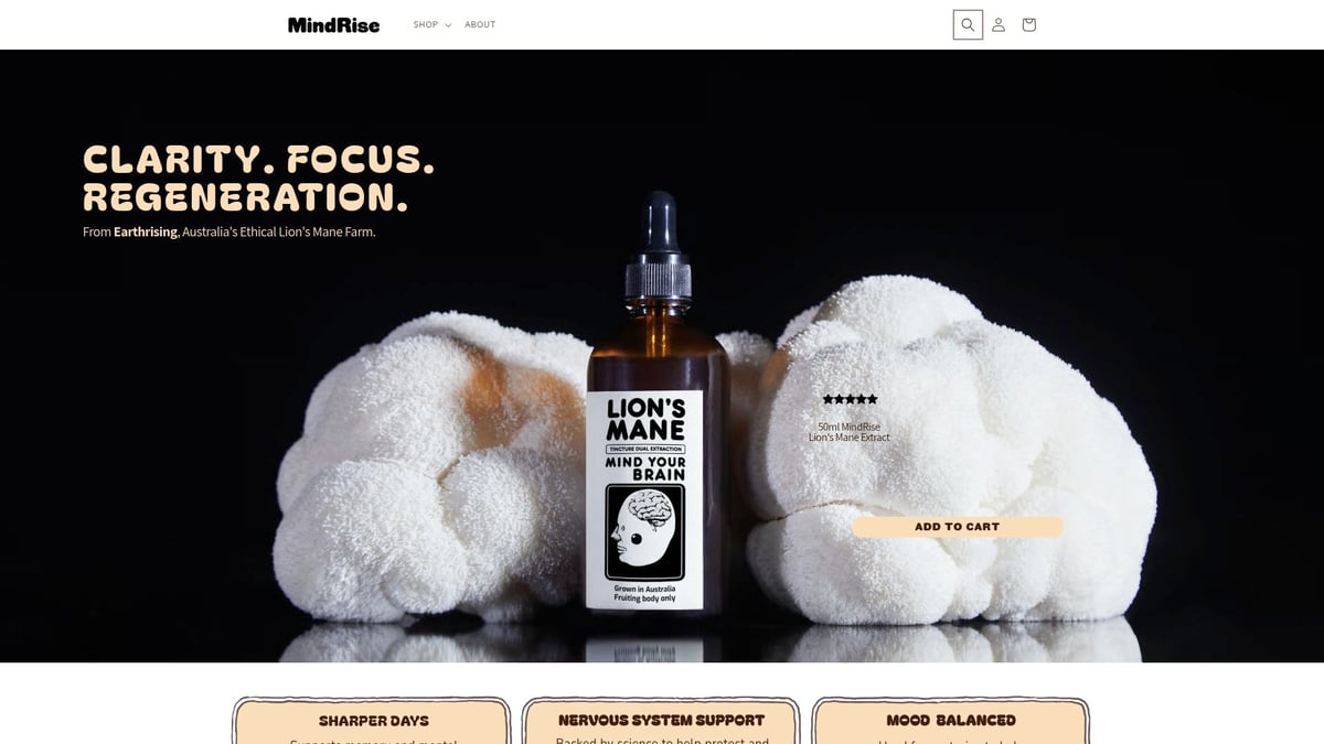 Exotic Mushrooms Guide: Explore Rare Flavours in 2026 - Lion’s Mane Mushroom Products by MindRise: Supporting Cognitive Wellness in Australia