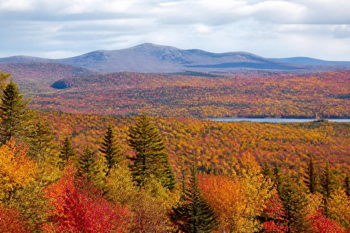 Fall foliage progression timeline