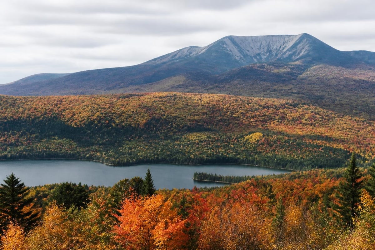 Northern Maine foliage elevation zones