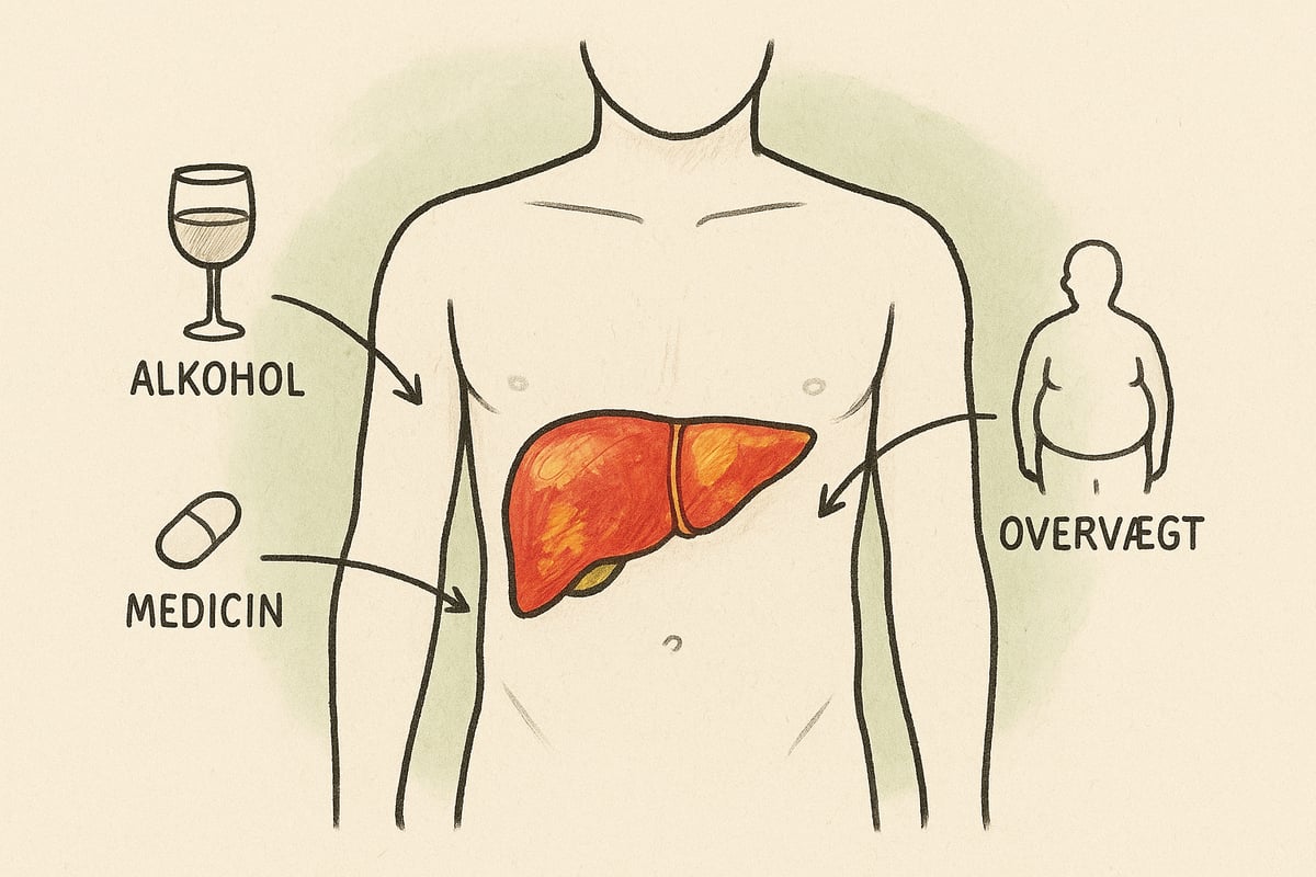 Almindelige Leverproblemer og Risikofaktorer