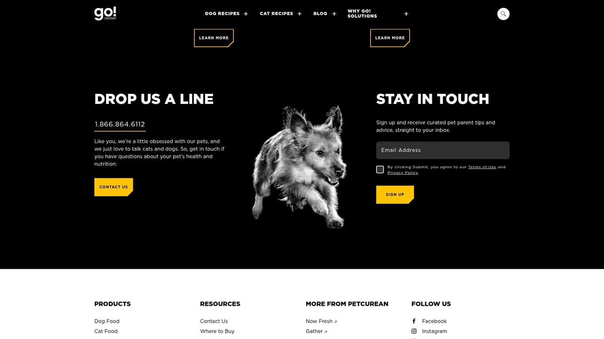 7 Essential Best Food For Dogs Choices in 2026 - Go! Solutions Carnivore Grain-Free Recipe