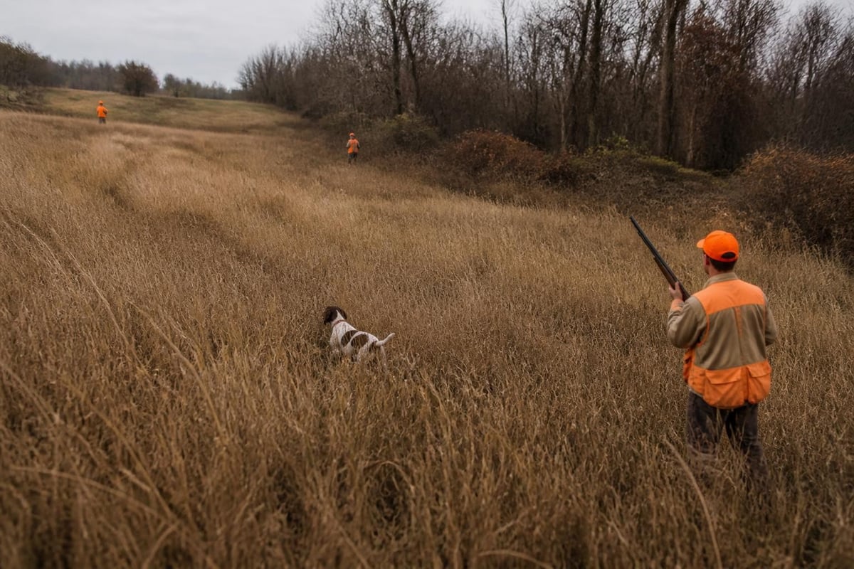 Upland hunting field tactics