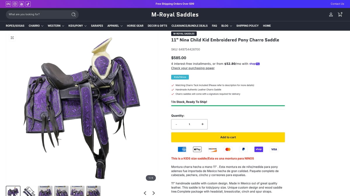 Top 8 Pony Saddles for Comfort and Style in 2025 - 11