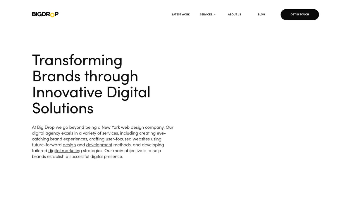 BIGDROP logo and tagline "Transforming Brands through Innovative Digital Solutions," showcasing a modern web design agency focused on creative digital experiences and tailored marketing strategies.
