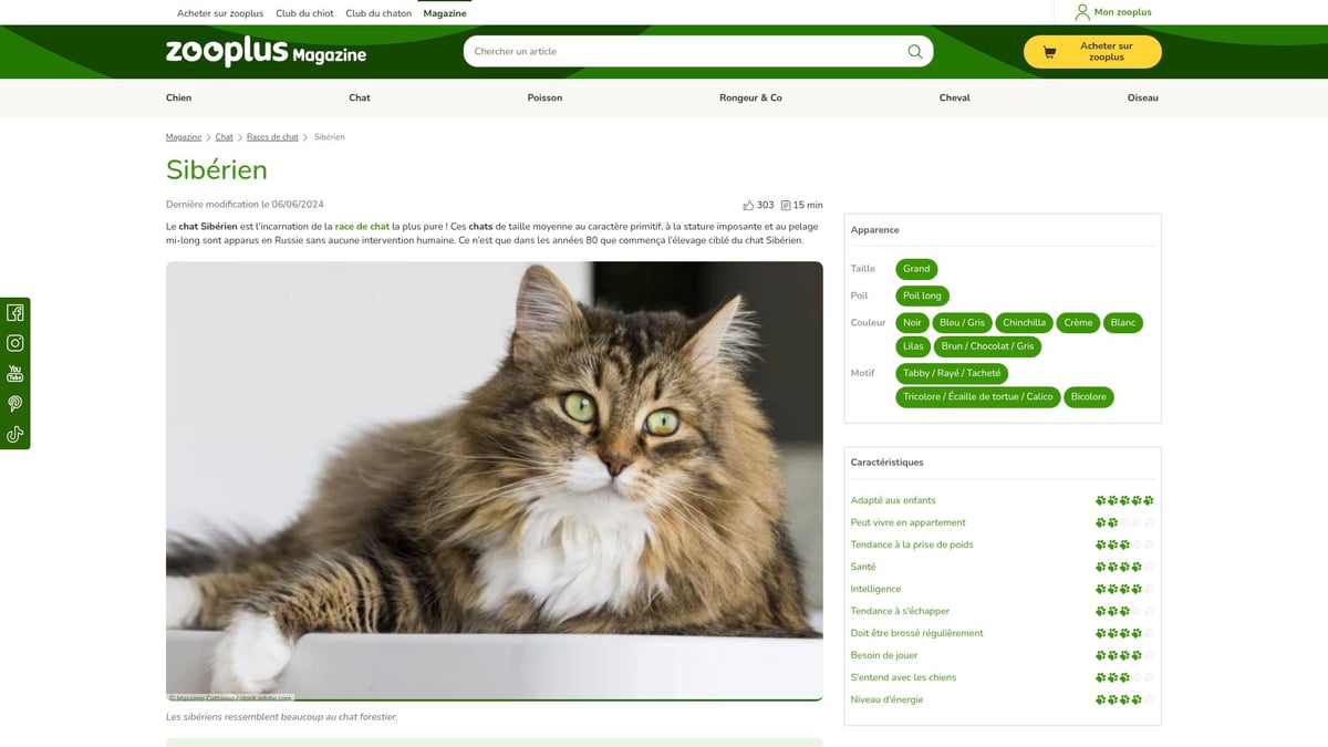 9 Chats Poil Long À Découvrir Absolument En 2025 - Sibérien