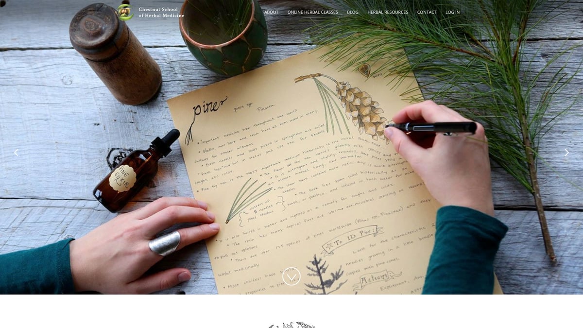 9 Essential Alternative Healing Courses to Transform Your Life - Herbal Medicine Online Course – Chestnut School of Herbal Medicine