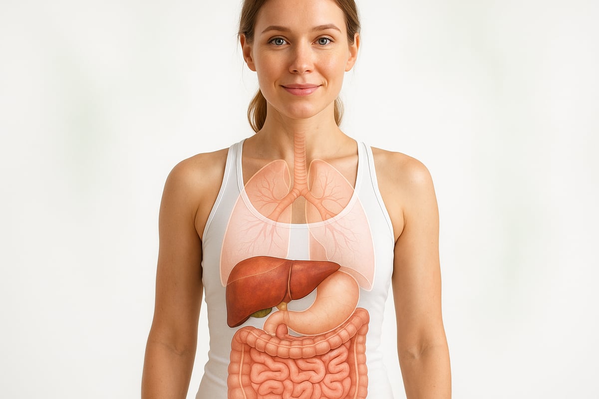 Understanding Detoxification: How the Body Naturally Cleanses