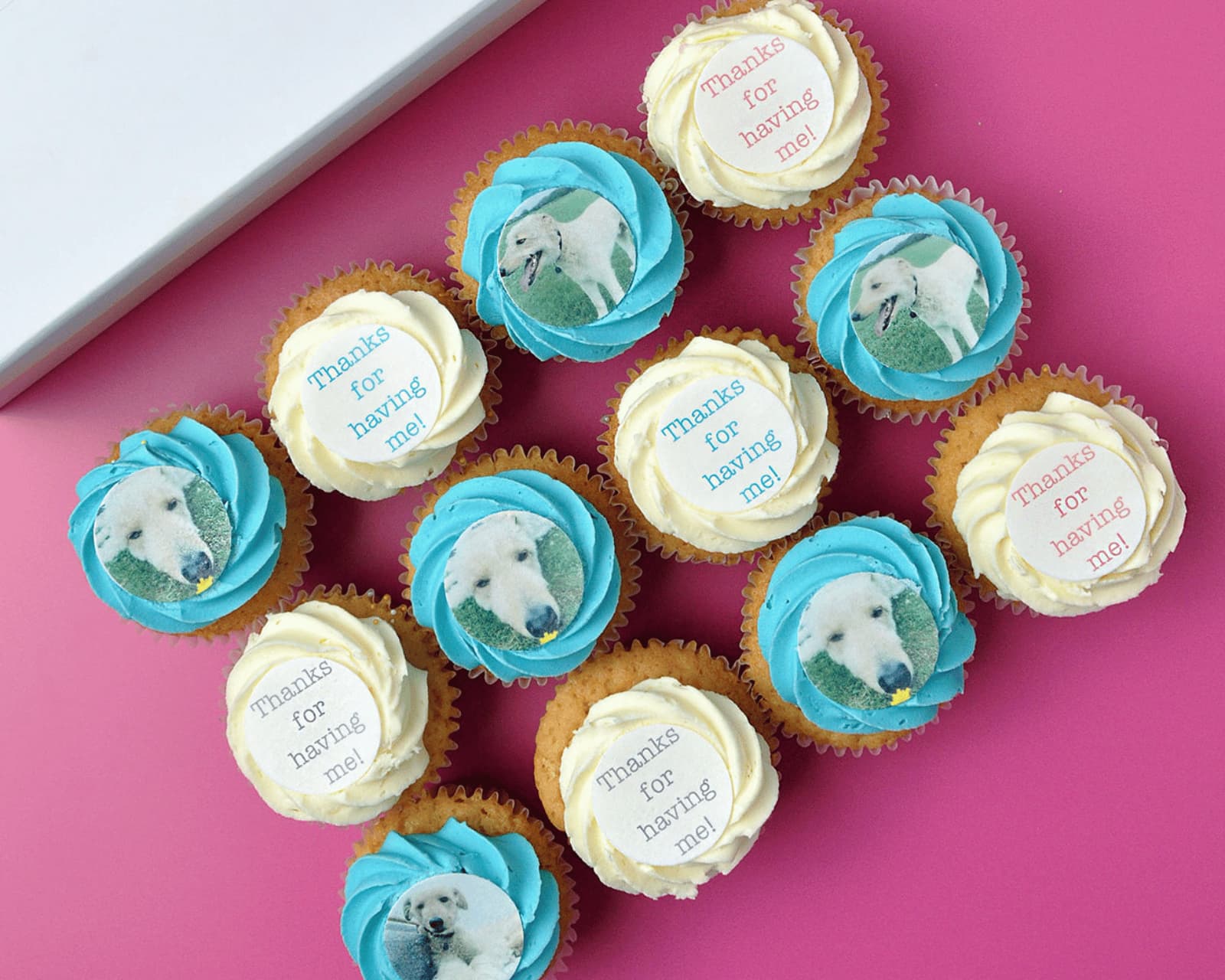 Customisable Photo and Message Cupcakes