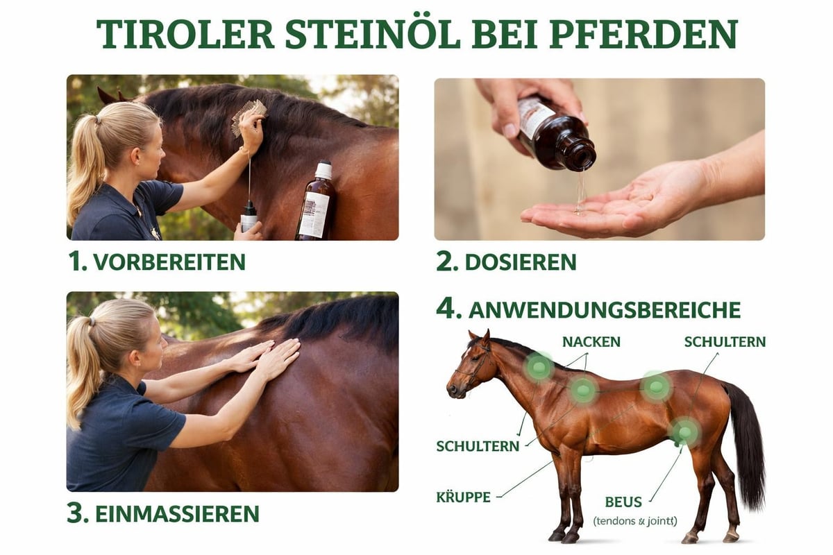 Steinöl Anwendung Pferd
