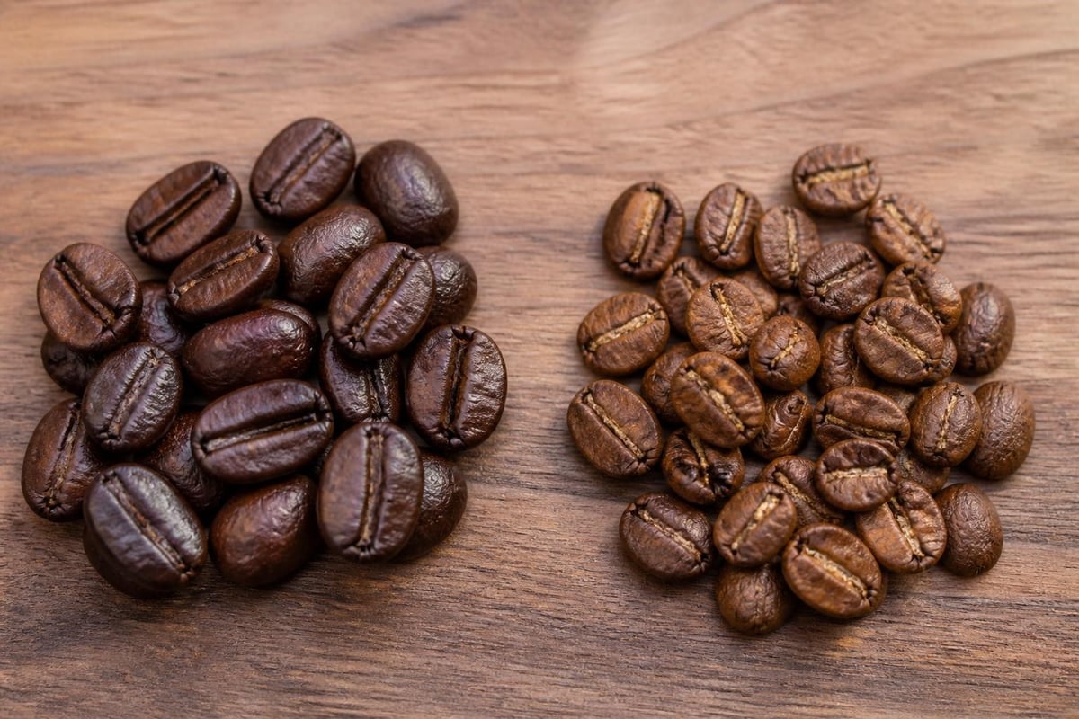 Différences entre grains Arabica et Robusta