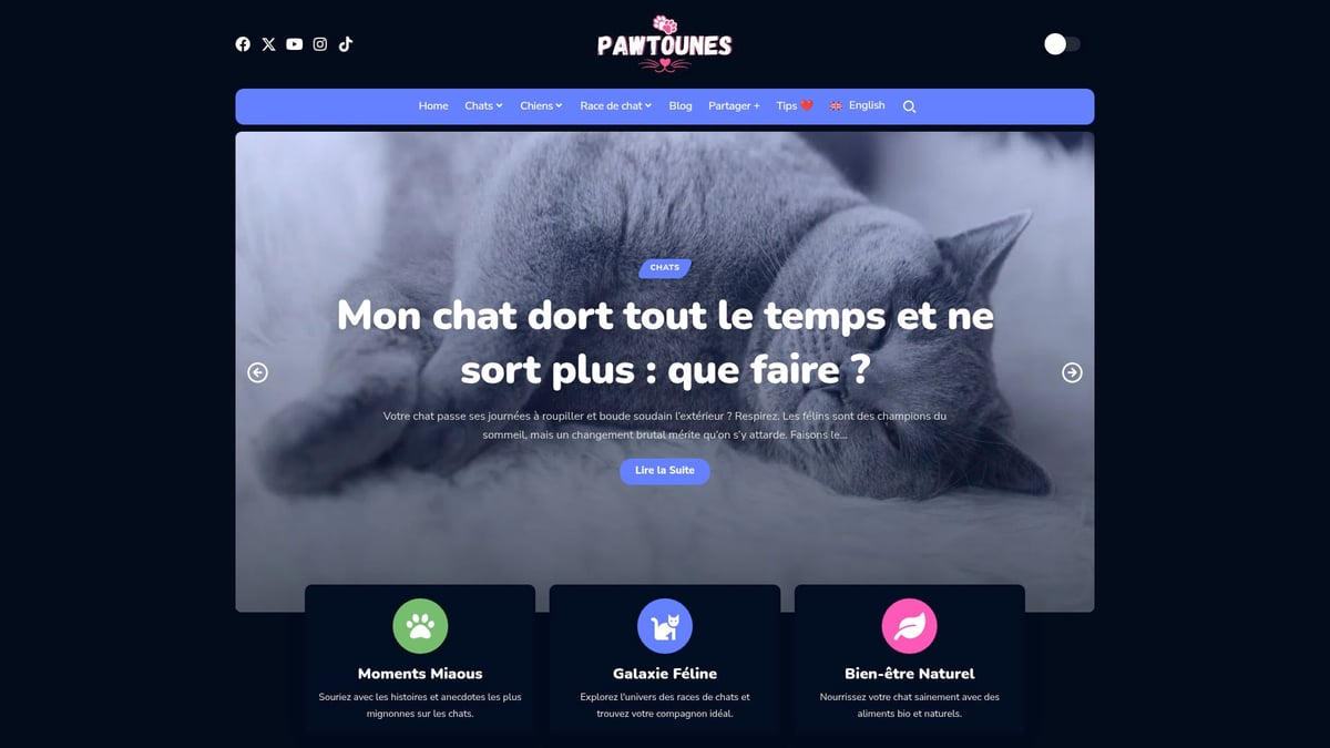 Pawtounes - Guide 2025 : Boule De Poils Chat, Solutions Et Conseils Experts - Guide 2025 : Boule De Poils Chat, Solutions Et Conseils Experts - Pawtounes : des conseils bienveillants pour les passionnés de chats