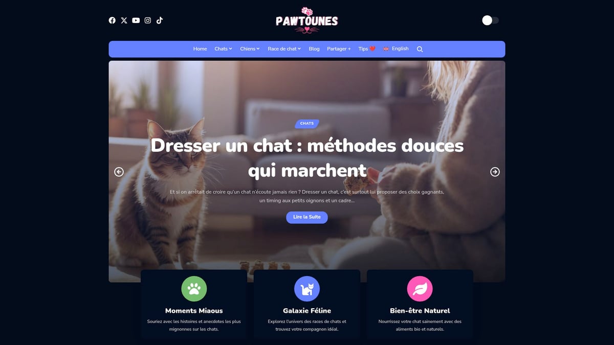 Pawtounes - 7 Faits Surprenants À Découvrir Sur Les Chats Roux En 2025 - 7 Faits Surprenants À Découvrir Sur Les Chats Roux En 2025 - Conseils et anecdotes de la communauté Pawtounes