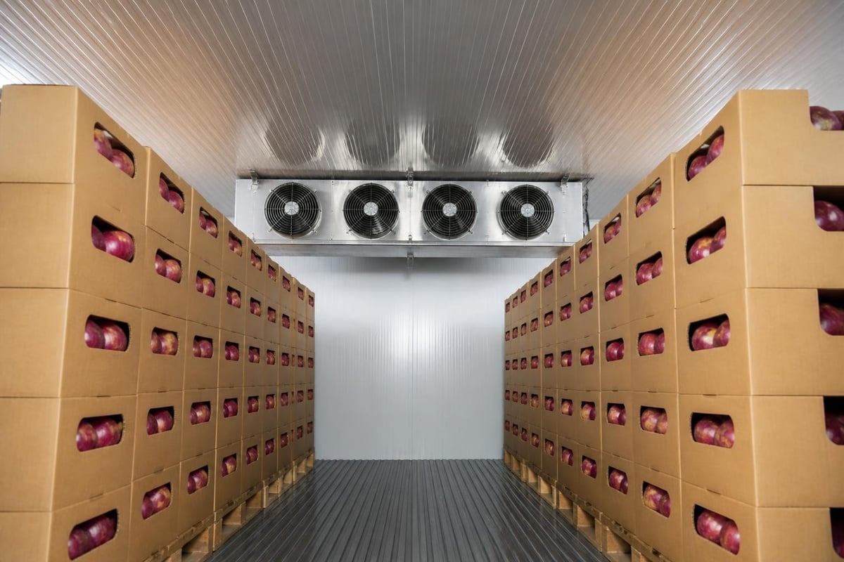 Sweet potato packaging ventilation