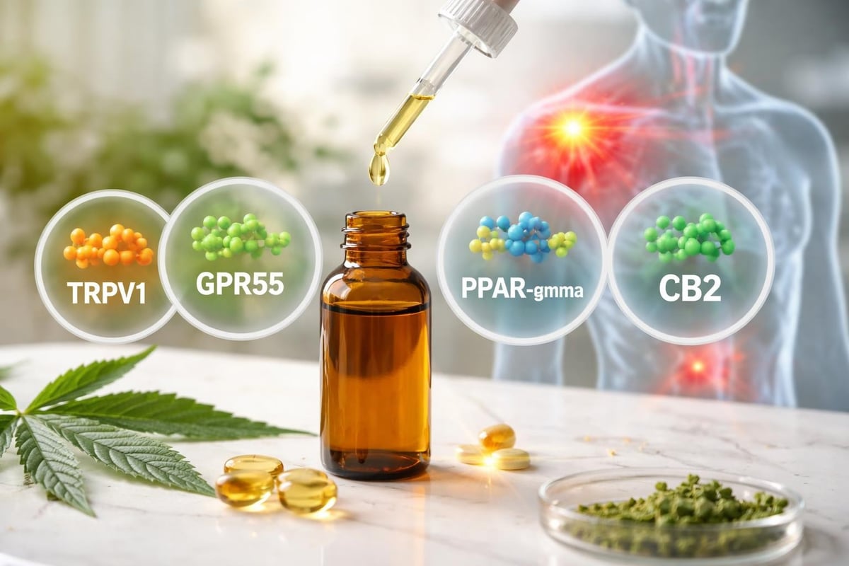CBD molecular pathways