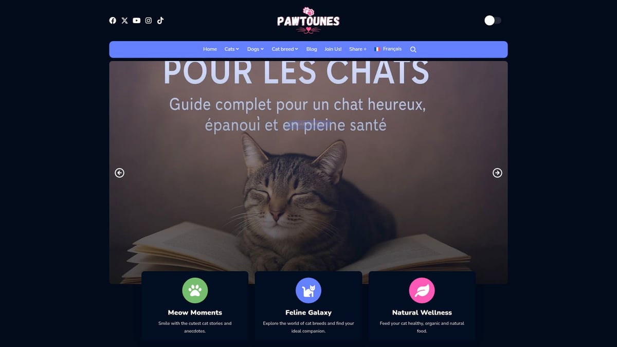 Pawtounes - Guide Complet du Chaton Tigré Poil Long en 2026 - Guide Complet du Chaton Tigré Poil Long en 2026 - Découvrez plus de conseils et d’astuces sur les chats tigrés poil long sur Pawtounes