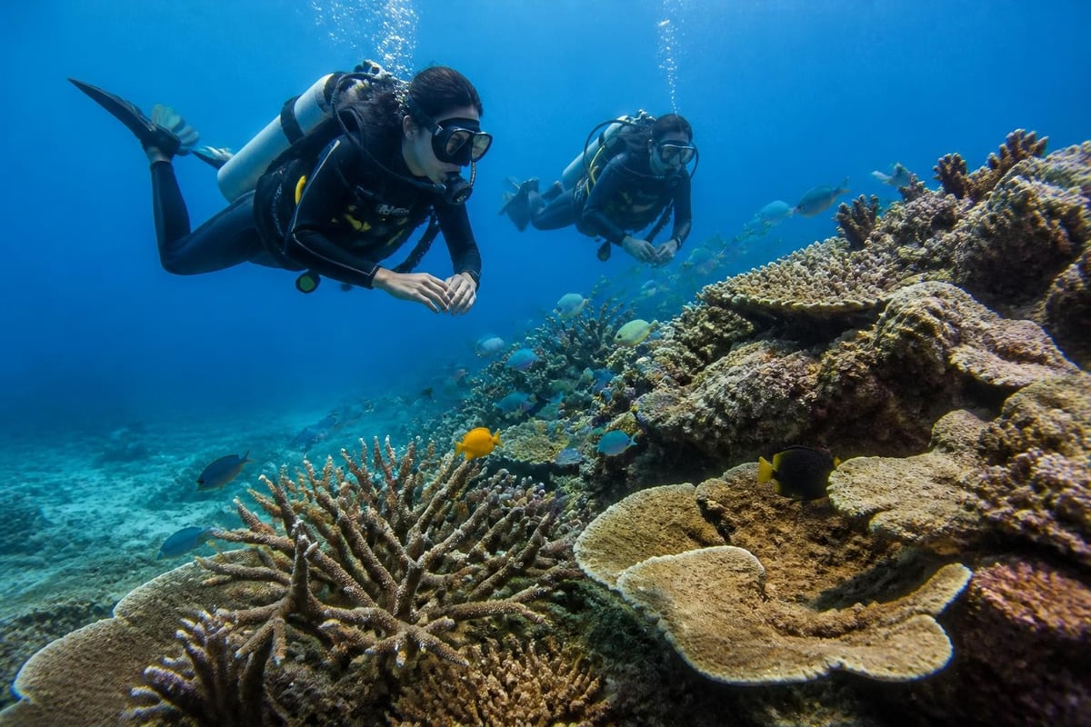 Marine conservation in scuba diving