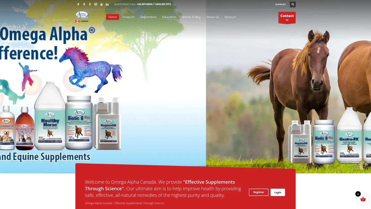 7 Essential Best Dog Immune Booster Options for 2026 - Omega Alpha Immune Boost