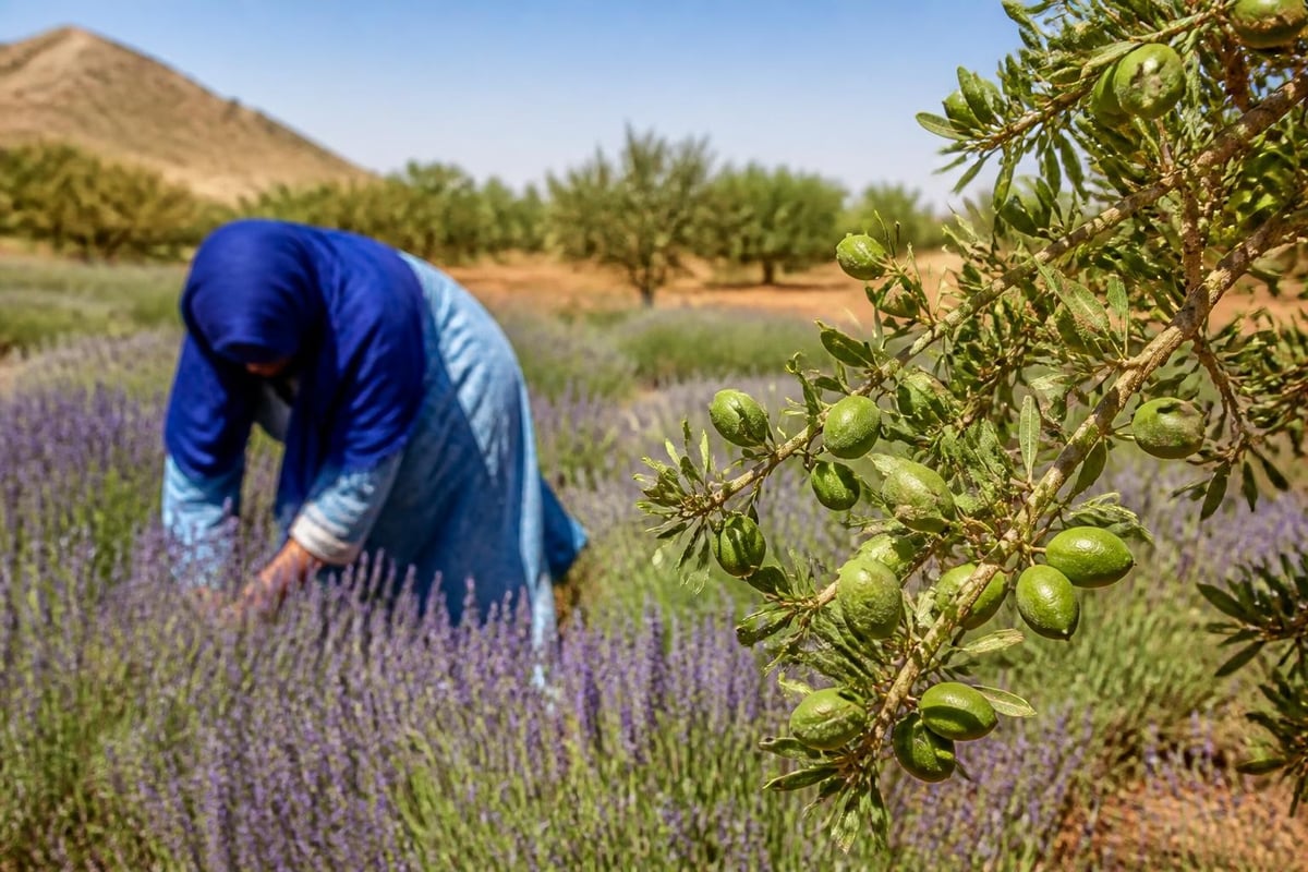 Natural ingredients in bath oils