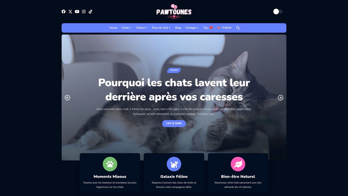 Pawtounes - 7 Raisons Pour Lesquelles Chats Chien Sont Un Duo Parfait en 2025 - 7 Raisons Pour Lesquelles Chats Chien Sont Un Duo Parfait en 2025 - Pawtounes : votre allié pour une cohabitation harmonieuse