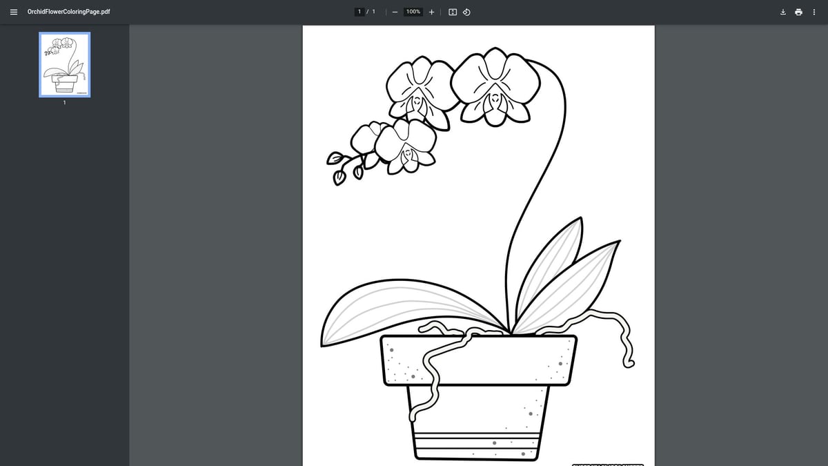 12 Best Printable Flower Coloring Pages for 2026 - Orchid Coloring Page – Superstar Worksheets