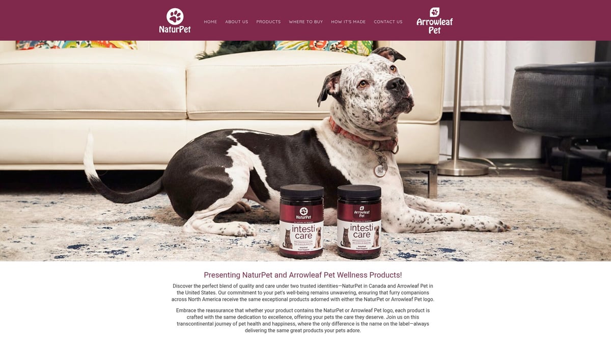 7 Essential Good Vitamin For Dogs Picks For 2026 - NaturPet Immunity for Dogs
