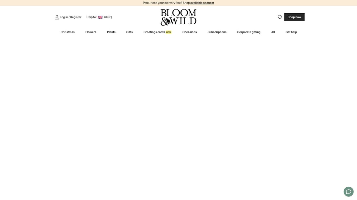 7 Amazing Same Day Florist London Options for 2025 - Bloom & Wild