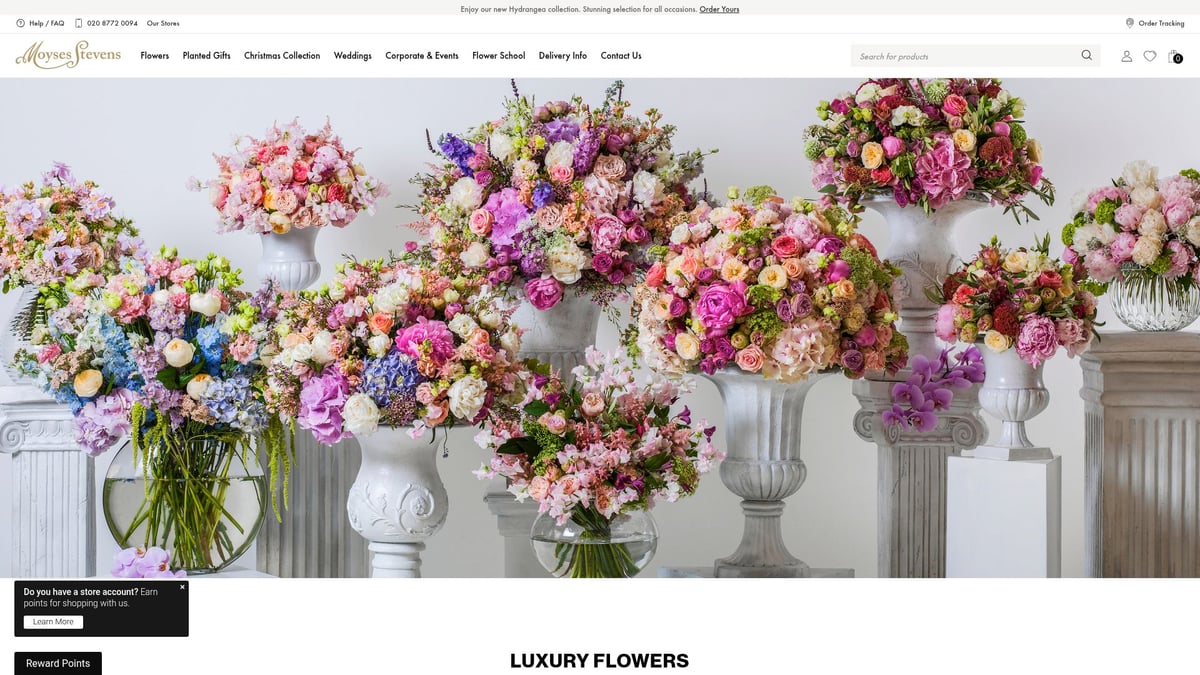 7 Amazing Same Day Florist London Options for 2025 - Moyses Stevens Flowers
