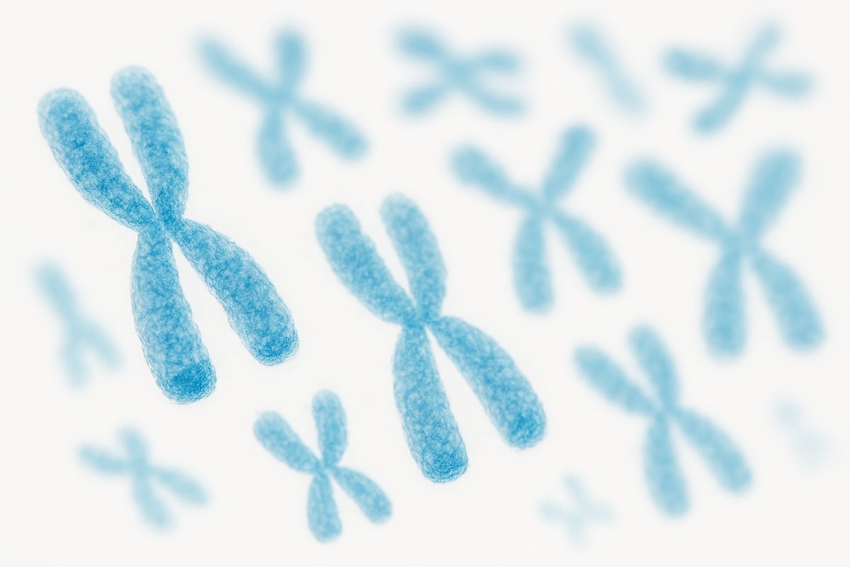 テロメアの短縮と健康への影響
